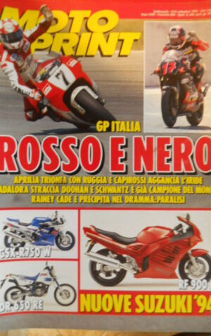 Motosprint 36 1993 GP Italia grave incidente a Rainey