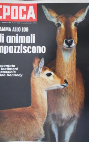 Epoca 960 1969 Così Sirhan ha ucciso Bob Kennedy.Accusa bancarotta a  Felce Riva