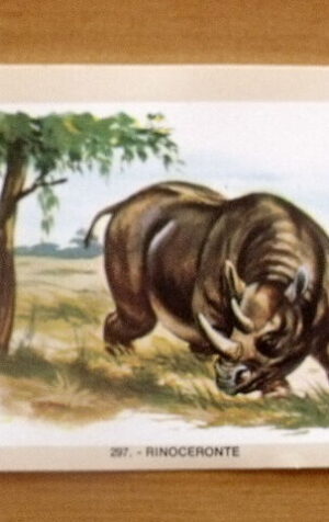 Figurina NATURAMA n°297 RINOCERONTE ed. LAMPO Scuola [AF21]