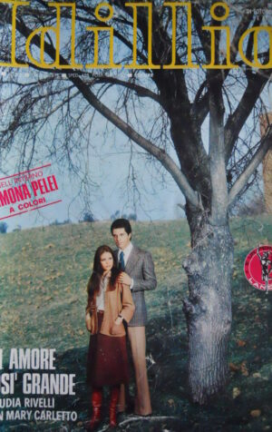 Rivista Fotoromanzi IDILLIO n°163 1976 - BUONO   [D30]