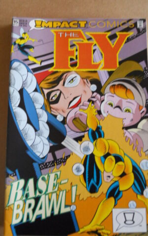 THE FLY n°13 1992 DC COMICS   [SA26]