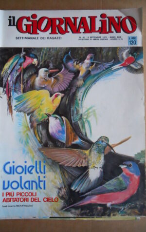 GIORNALINO n?35 1973 Dev Bardai - S. Zaniboni  [G554]