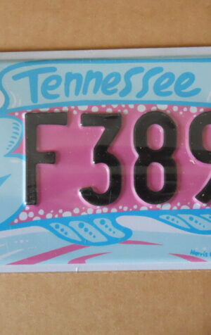 Targa Americana TENNESSEE USA 31x16 cm - Più basso di EBAY