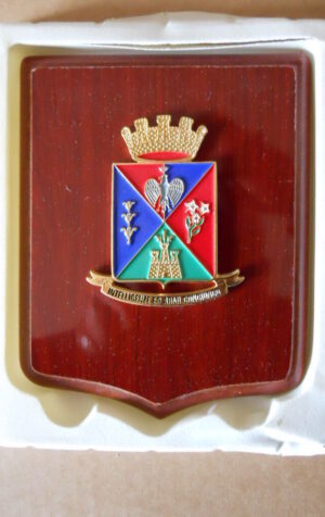 CREST Militare 11° Reggimento Trasmissioni Esercito [CRV34]