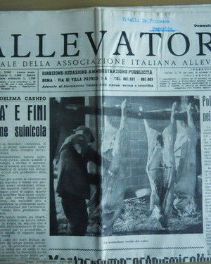 L'Allevatore 6 1956 - Avicoltori fiera di Verona