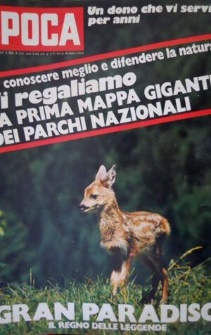 Epoca 1155 1972 Elezioni tedesche:Brandt contro Barzel.Dipinti Salvatore Fiume