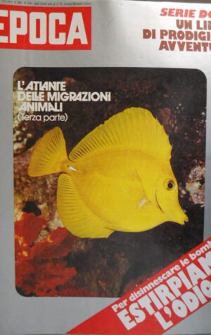 Epoca 1182 1973 Via Fratebenefratelli:bomba a Milano.Opere di Francesco Messina