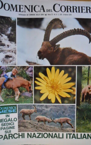 Domenica del Corriere 9 1970 Parchi Nazionali.Armstrong vittima del Festival C50