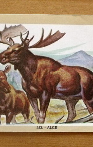 Figurina NATURAMA n°283 ALCE ed. LAMPO Scuola [AF21]