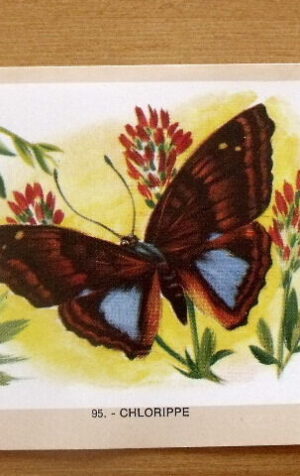 Figurina NATURAMA n°95 CHLORIPPE ed. LAMPO Scuola [AF21]