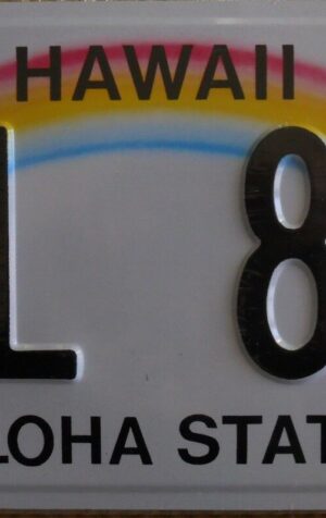 Targa Americana HAWAII MML 851 ALOHA STATE - 31x16 cm - Il Più basso di EBAY