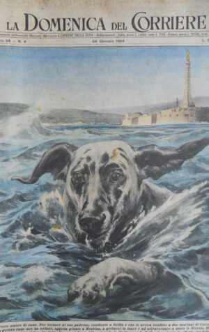 Domenica Del Corriere n°4 1954 Professor Albert Einstein  [D23]