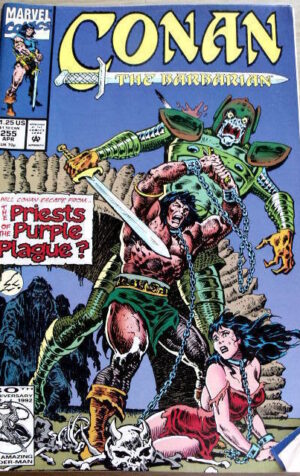 CONAN The Barbarian n°255 1992 ed. Marvel Comics [SA16]