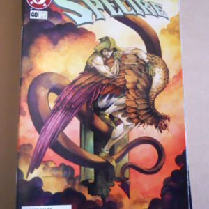 THE SPECTRE n°40 1996 DC Comics   [SA26]