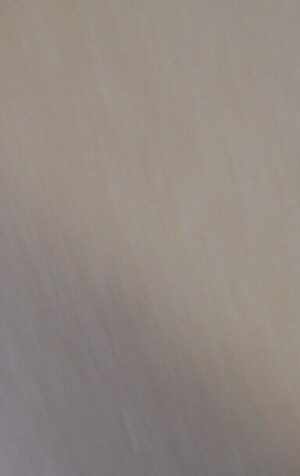 MINA Fotoromanzo n°298 1987  [D32] SENZA COPERTINA DIFETTATO