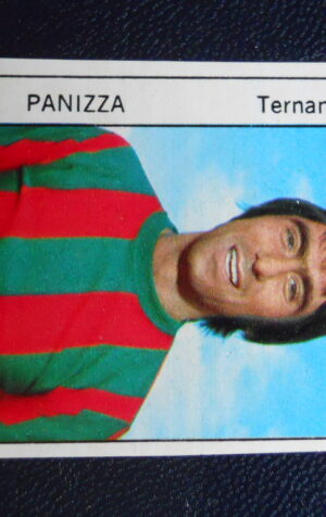 Figurina Calciatori Album GENTE 1974-75 ?  TERNANA Panizza