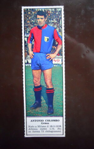 Figurina Calciatori Album Tempo 1966-67 - GENOA Antonio Colombo   [AF]