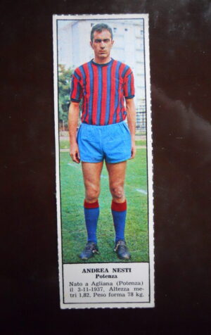 Figurina Calciatori Album Tempo 1966-67 - POTENZA Andrea Nesti     [AF]