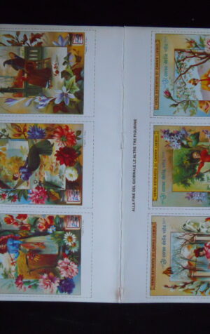 Figurine LIEBIG Foglio 6 fig. IL CORSO DELLA VITA Ristampa Italia 1978 [C81]