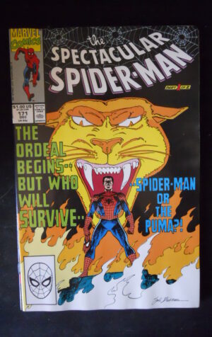 THE SPECTACULAR SPIDER MAN 171 1990 Marvel Comics  [SA19]