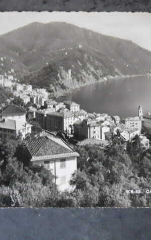 Cartolina CAMOGLI E PUNTA CHIAPPA 1949 [AFZ]