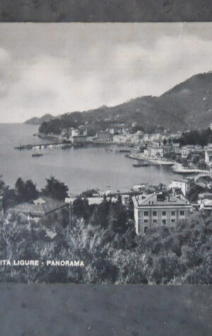 Cartolina S. MARGHERITA LIGURE PANORAMA 1953 [AFZ]