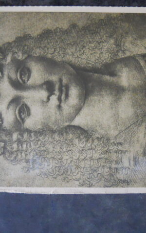 Cartolina LEONARDO DA VIUNCI TESTA DI GIOVINETTA FARMACEUTICI MAGGIONI [AFZ]