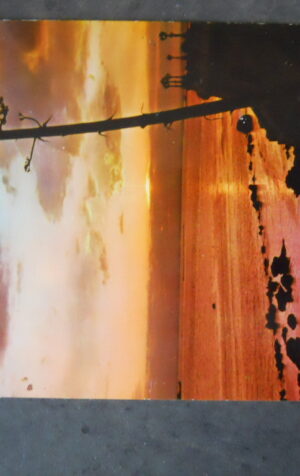 Cartolina TARANTO ROTONDA VISTA DAL TRAMONTO ANNI 70  [AFZ]