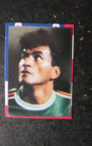 FIGURINA STICKER IL MIO MONDIALE GIORNALINO #114 MARCO ANTONIO ETCHEVERRY [AF3]