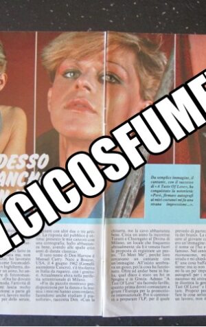 RITAGLIO CLIPPING DEN HARROW 2 PAGINE 1984 [MV19M-2]