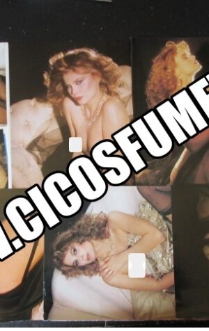 RITAGLIO CLIPPING PATRIZIA PELLEGRINO 6 PAGINE [MV19M-3]