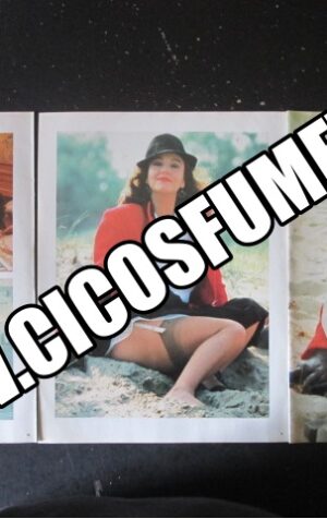 RITAGLIO CLIPPING STEFANIA SANDRELLI 5 PAGINE [MV19M-3]