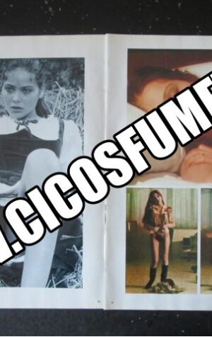 RITAGLIO CLIPPING ORNELLA MUTI 3 PAGINE [MV19M-3]