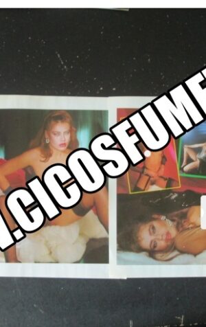 RITAGLIO CLIPPING EVA GRIMALDI 6 PAGINE [MV19M-3]