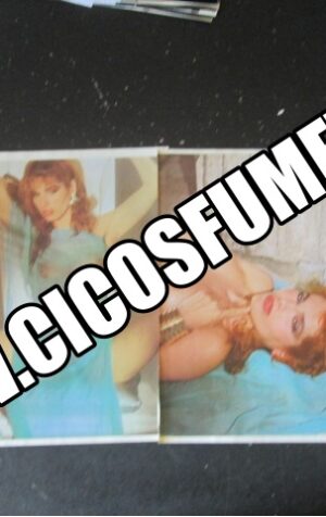 RITAGLIO CLIPPING TINI CANSINO 7 PAGINE [MV19M-3]