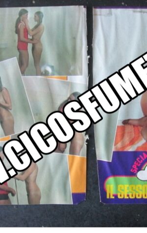 RITAGLIO CLIPPING ORNELLA MUTI ELEONORA GIORGI 2 PAGINE [MV19M-3]