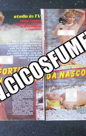 RITAGLIO CLIPPING FABRIZIA CARMINATI 3 PAGINE [MV19M-5]