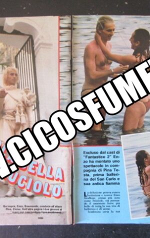 RITAGLIO CLIPPING ENZO AVALLONE 3 PAGINE  [MV19M-6]