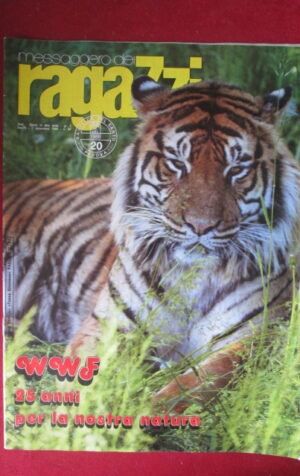 MESSAGGERO DEI RAGAZZI 34 1986 RIC HOCHET - ATTILIO MICHELUZZI [H025]